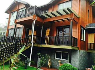 ����ľ��